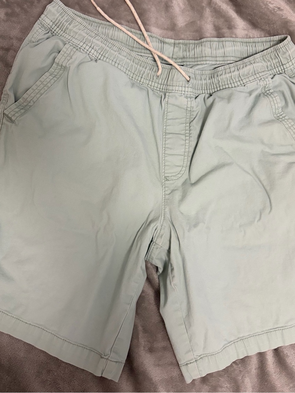 George Light Sage Drawstring Hybrid Shorts